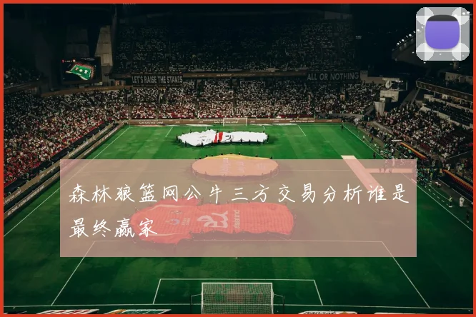 森林狼篮网公牛三方交易分析谁是最终赢家