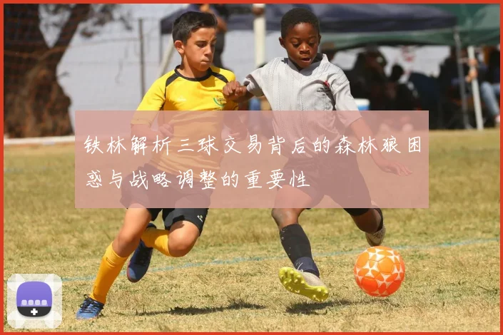 铁林解析三球交易背后的森林狼困惑与战略调整的重要性